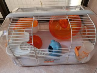 (Category: ) located in . Submitted by purefire_95f795 (Listing ID 1079368729, Image 1). Description: .