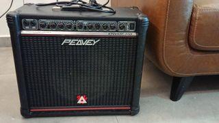 Peavey Envoy 110 amplifier