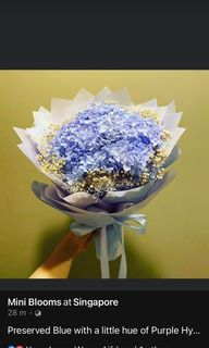 (Category: ) located in . Submitted by miniblooms (Listing ID 1079510284, Image 1). Description: .