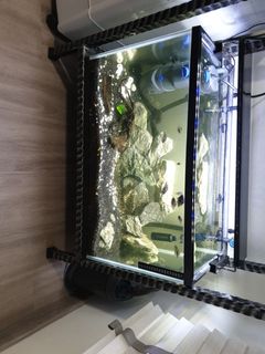 (Category: ) located in . Submitted by brappaje (Listing ID 1079676444, Image 1). Description: .