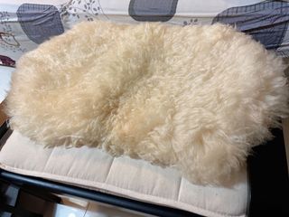（分類：）位於 。 由 ppppmokkkk 提交（商品編號 1079598752，圖片 1）。簡介： 。