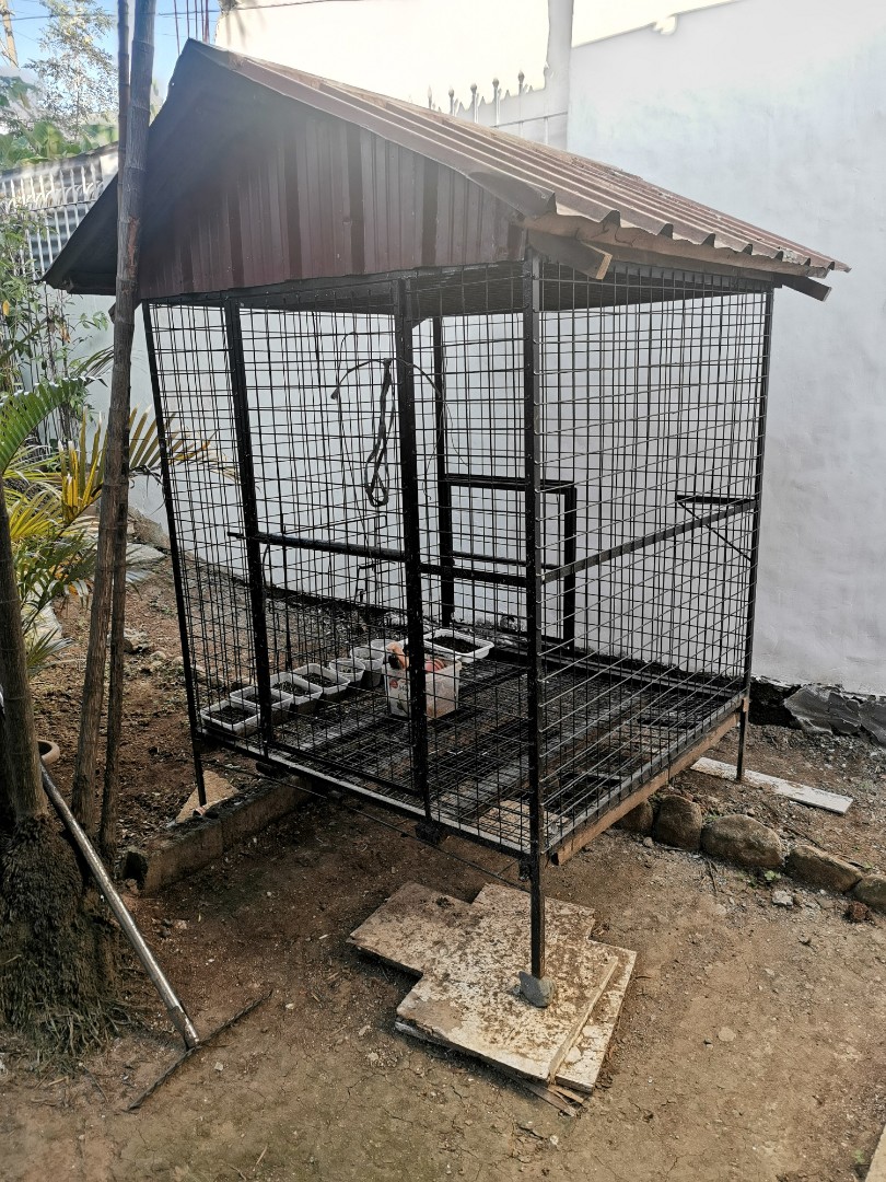 Cage for hotsell big dogs