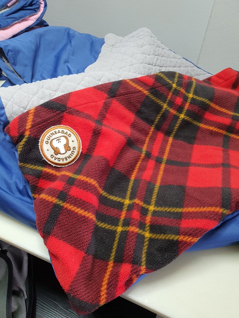 GuineaDad Liner 2x4, Pet Supplies, Homes & Other Pet Accessories on