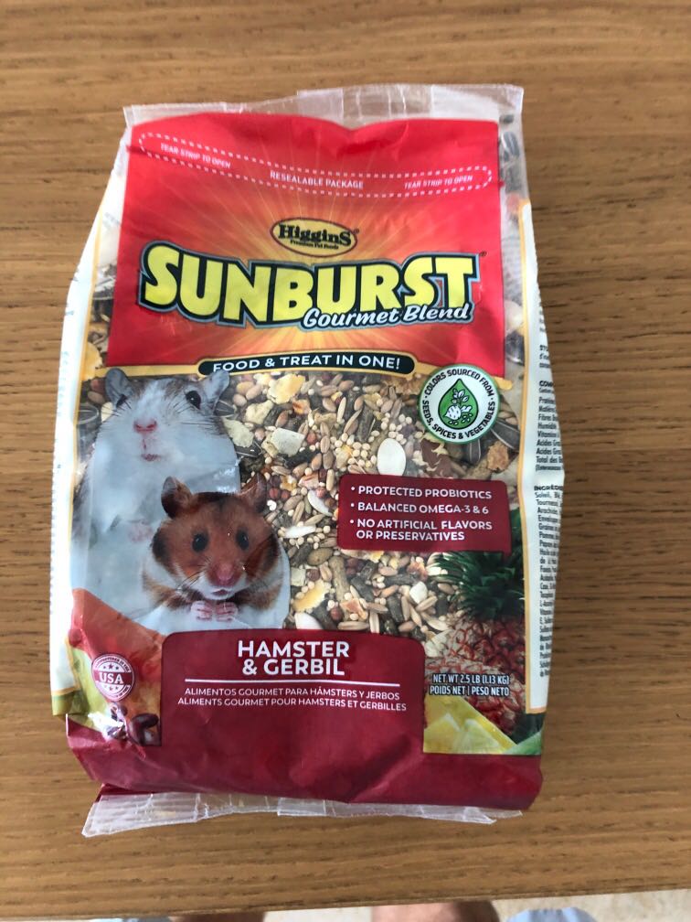 sunburst hamster