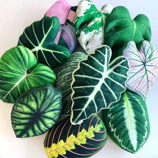 🪴HYPER REALISTIC Jungle Pillows😍
