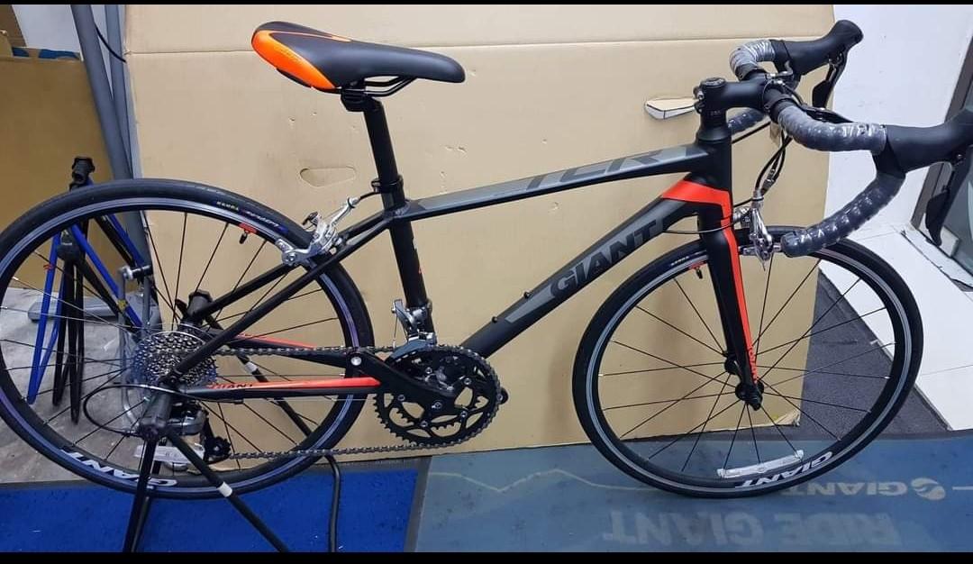 giant tcr espoir 24 2020