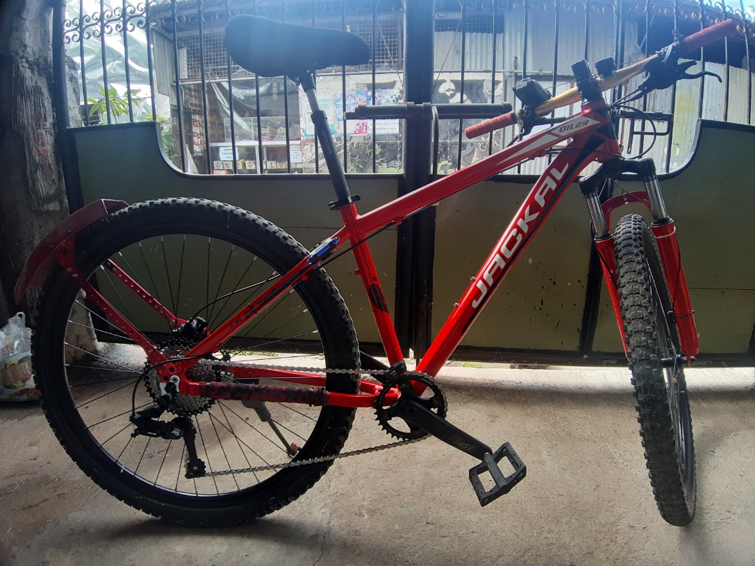 Jackal 29er online