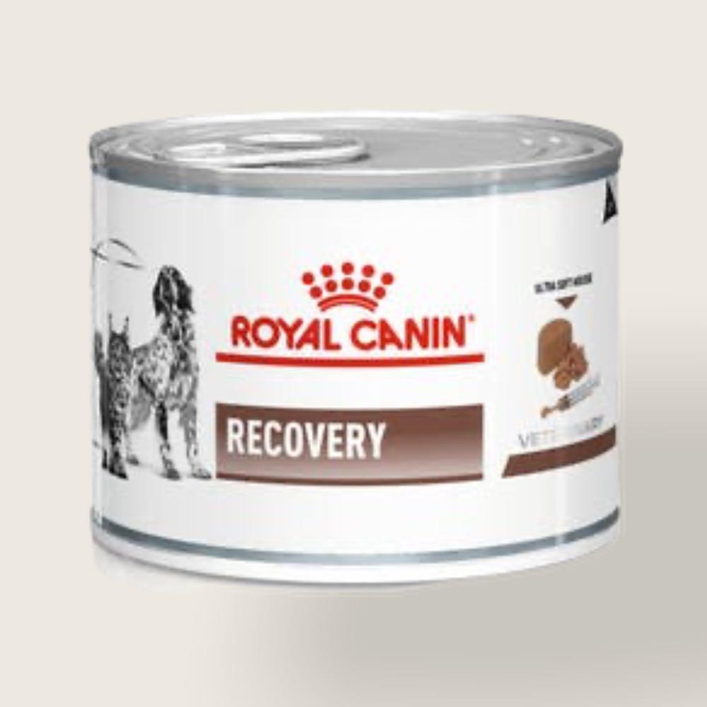 Royal Canin Canine & Feline Recovery (195g), Pet Supplies, Pet Food on  Carousell