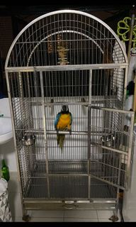 (Category: ) located in . Submitted by goblininc (Listing ID 1079598101, Image 1). Description: .