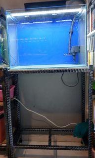 2ft tank