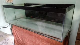 (Category: ) located in . Submitted by sk7834374 (Listing ID 1079782872, Image 1). Description: .