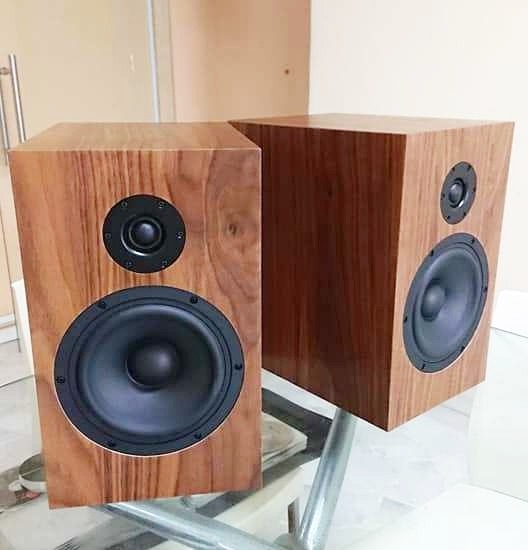 Best Bookshelf Speaker Award NBT 2020, CustomMade in U.S., CSS Criton