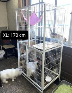 (Category: ) located in . Submitted by petsuppliesg (Listing ID 1079778659, Image 1). Description: .