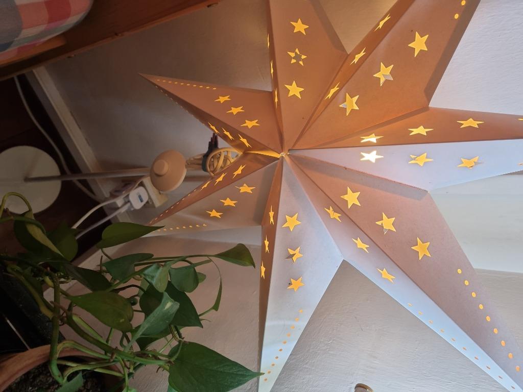 Strala star 2024