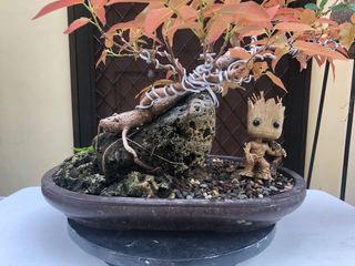 (Category: ) located in . Submitted by junnn24 (Listing ID 1079951116, Image 1). Description: .