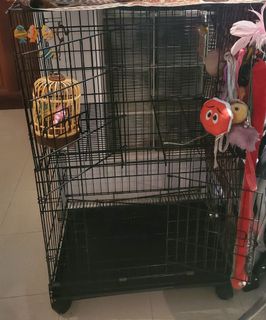 (Category: ) located in . Submitted by crystalacen (Listing ID 1079782188, Image 1). Description: .