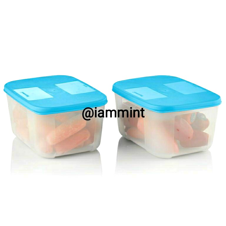 Tupperware Freezer Mate Container (650Ml), Set Of 2