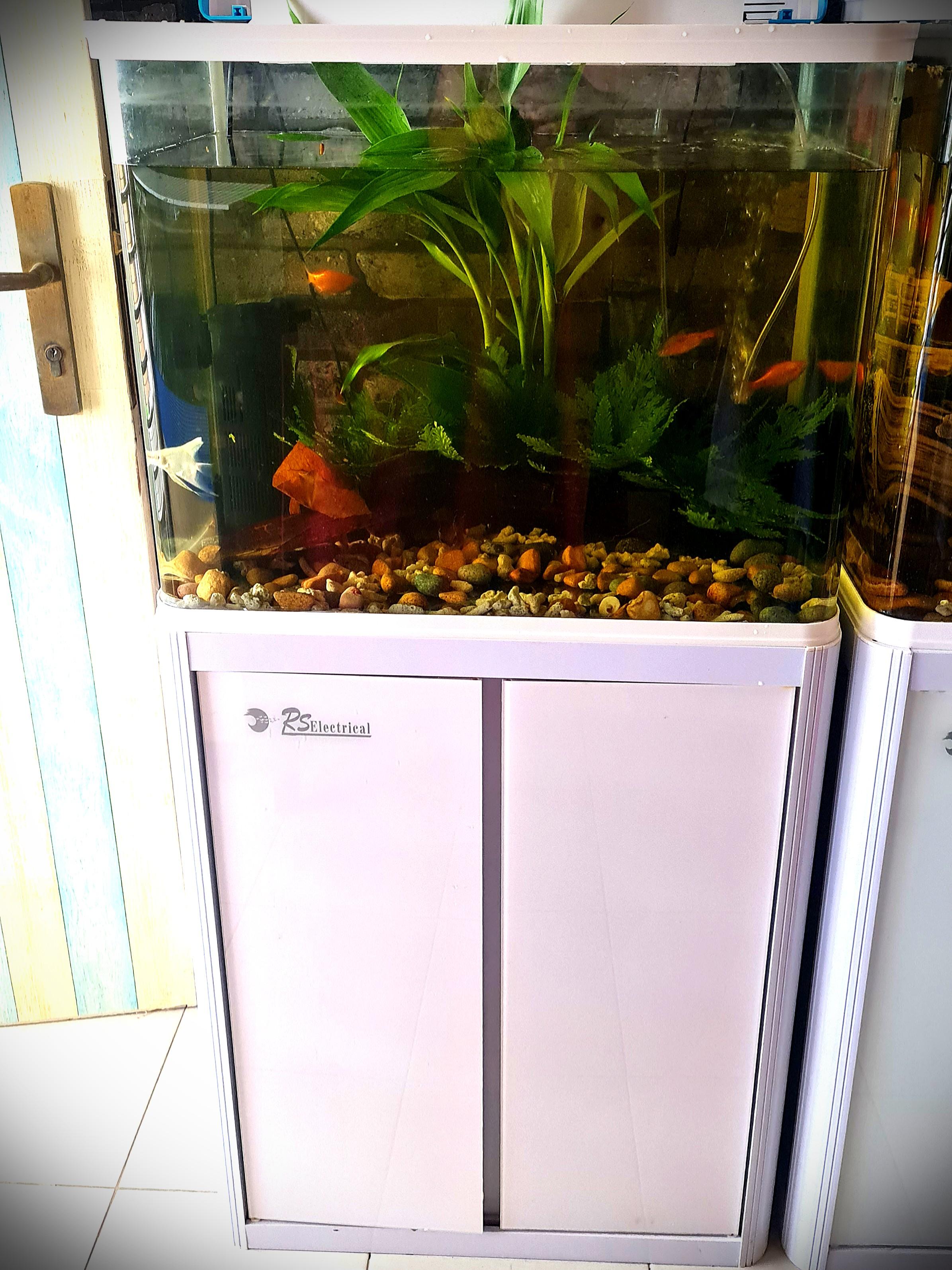 rs electrical aquarium