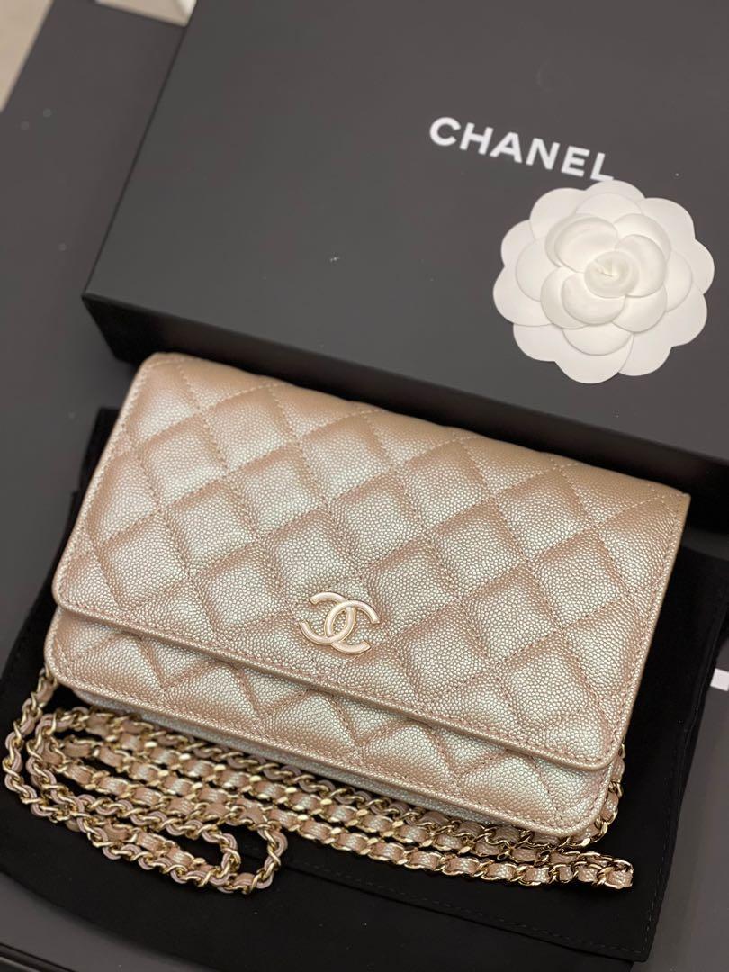 Chanel 21S IRIDESCENT Beige Zipped CARD HOLDER Lambskin Leather