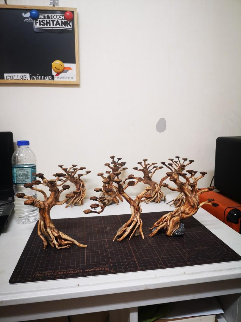 Bonsai Aquascape Home Furniture Gardening On Carousell