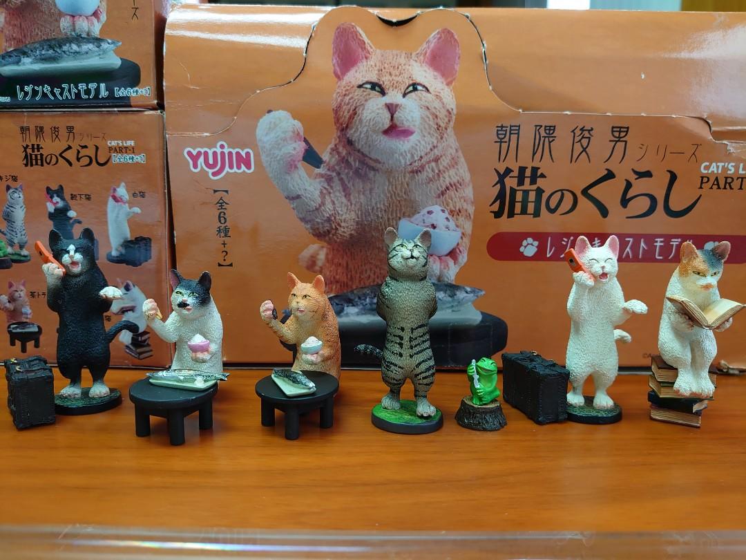 朝隈俊男 猫のくらし