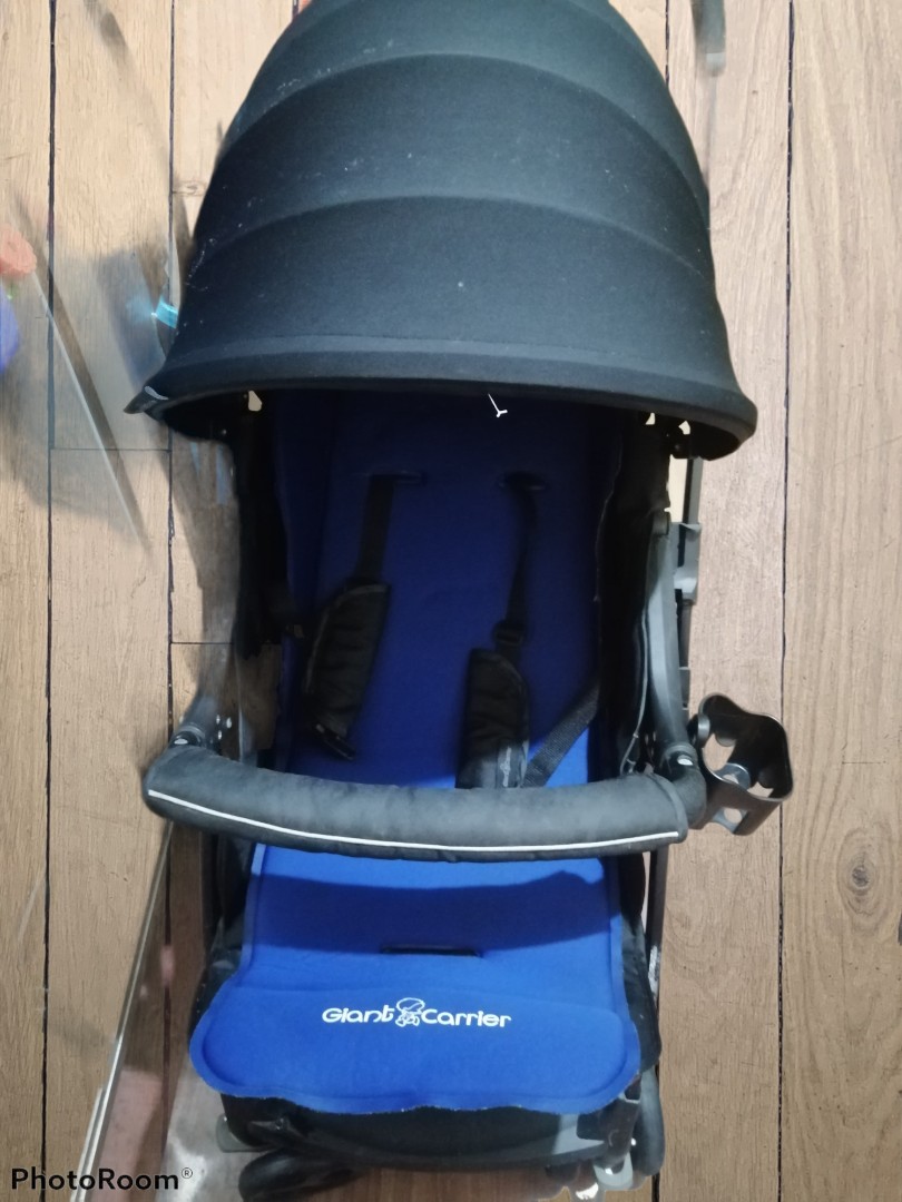 Giant Carrier sage stroller Babies Kids Going Out Strollers