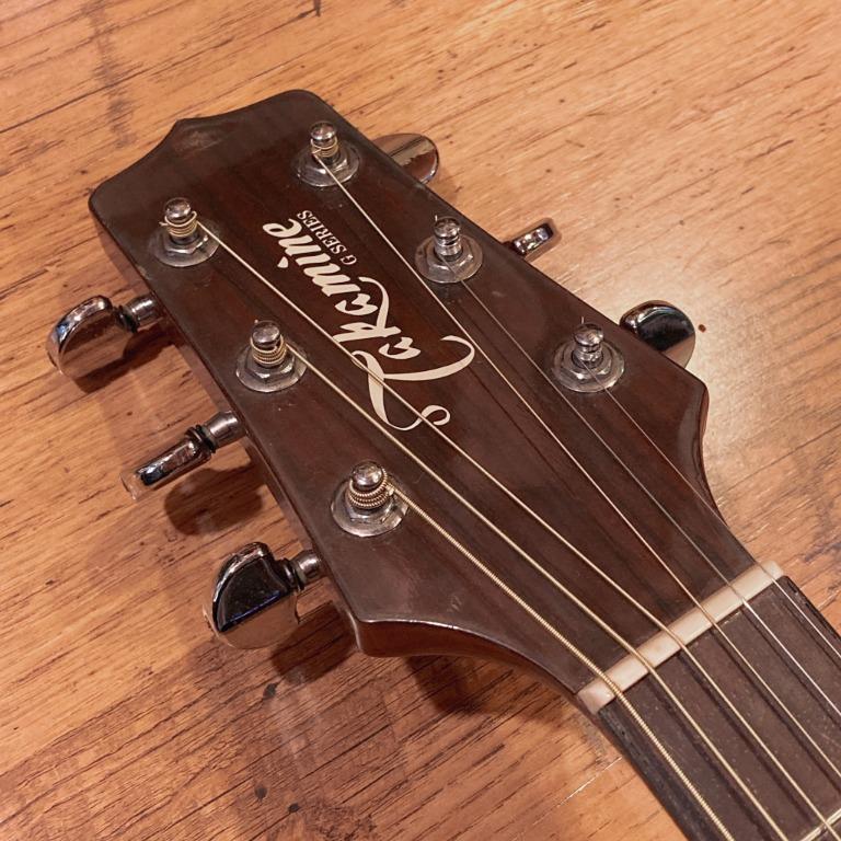 Takamine eg sales 330c