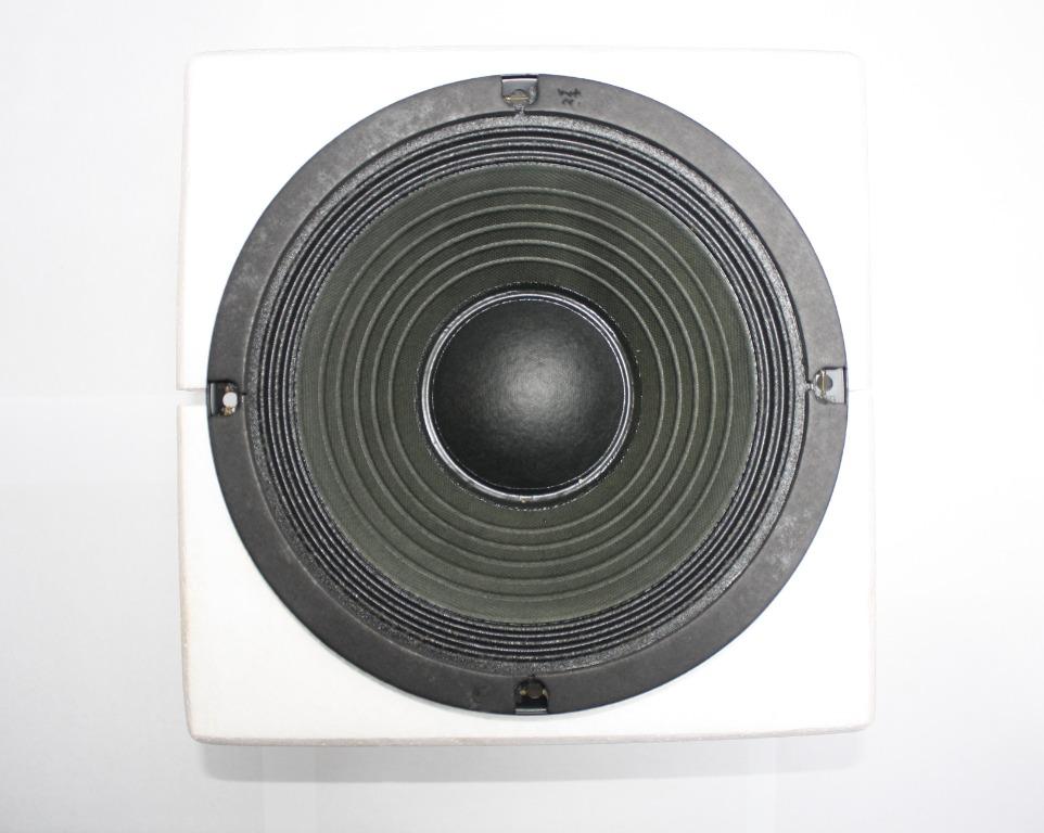Panasonic 10 2025 inch subwoofer