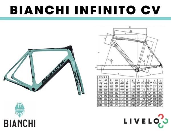 Bianchi oltre xr2 size chart best sale
