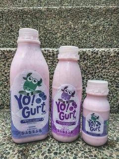 Blueberry yogurt milk (1L, 500 ml, 200 ml)