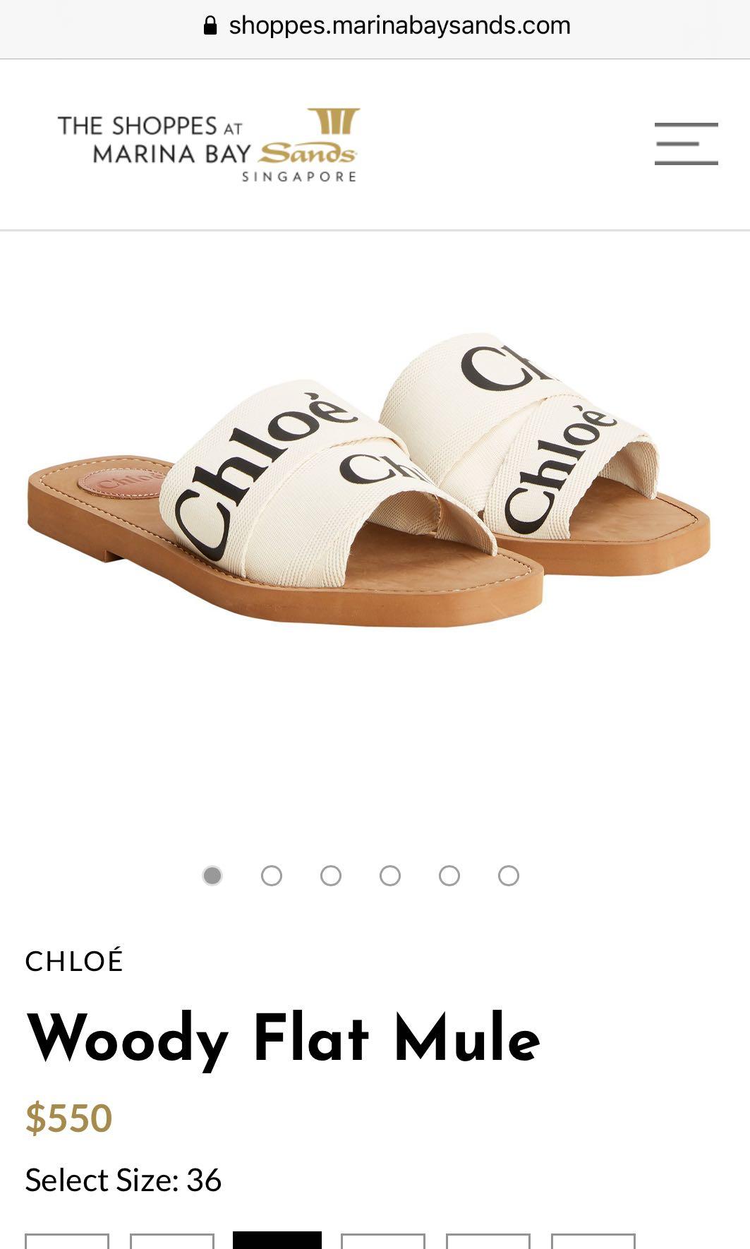 Chloe woody canvas slides Black only Luxury Sneakers