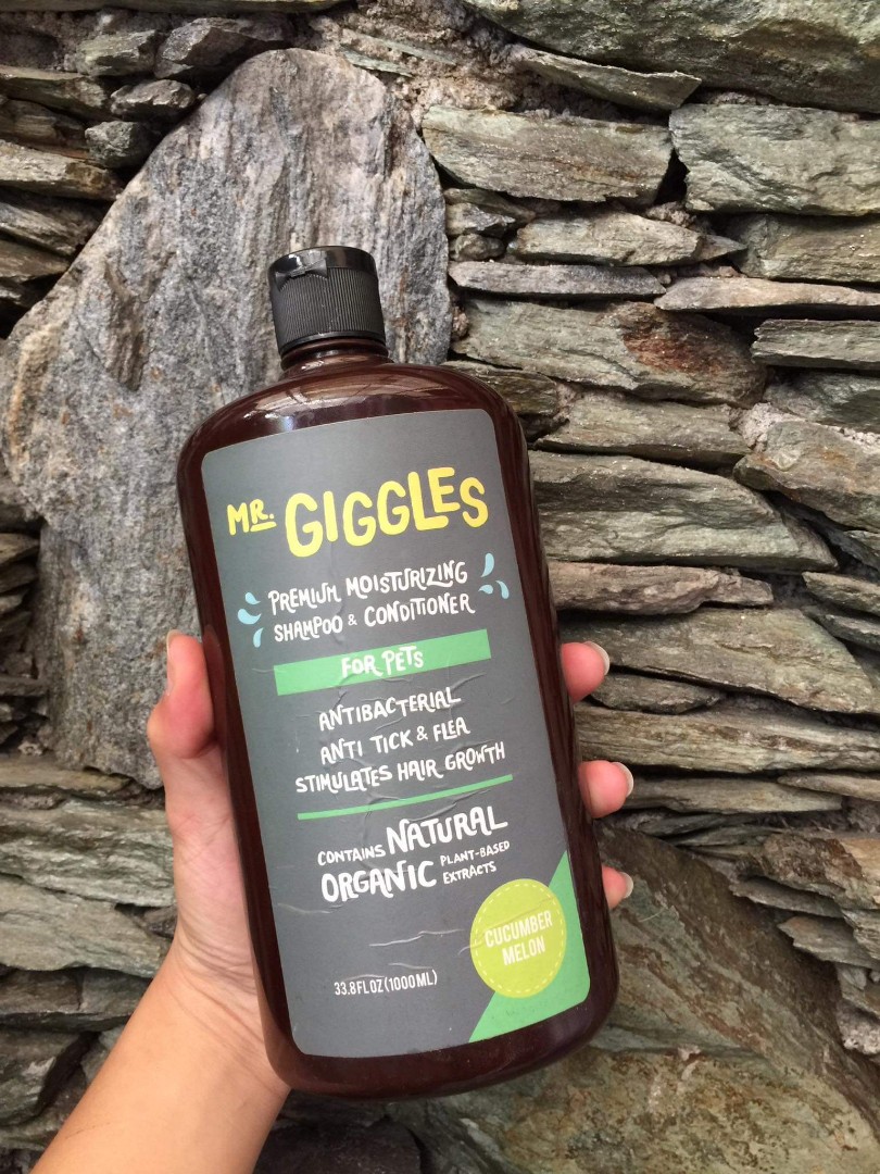 Mr giggles dog shampoo top