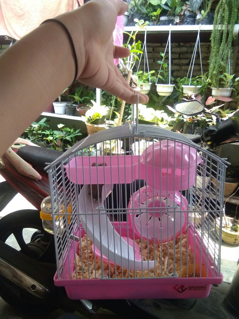 Rumah Hamster