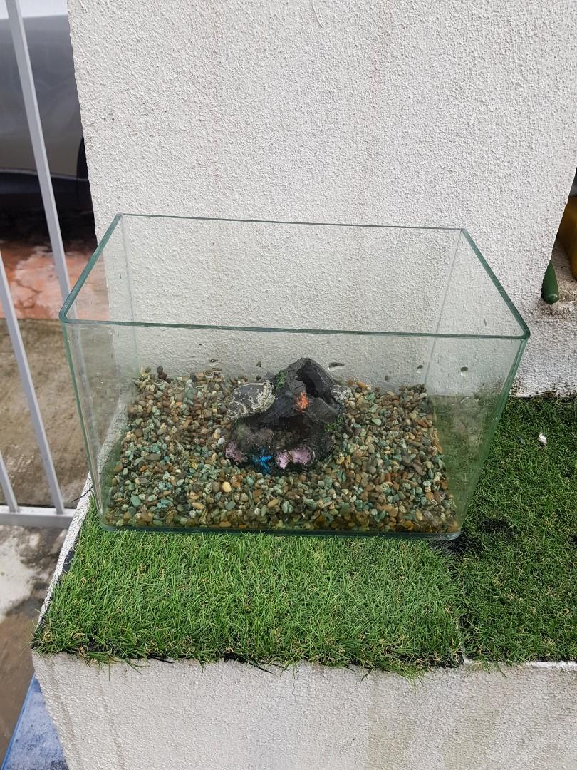 Small aquarium for sale on sale