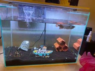 (Category: ) located in . Submitted by nicchee7785 (Listing ID 1080560320, Image 1). Description: .