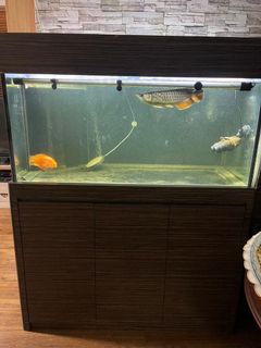 (Category: ) located in . Submitted by sg0000 (Listing ID 1080392228, Image 1). Description: .