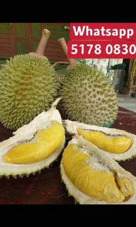 （分類：）位於 。 由 katacheung 提交（商品編號 1080401723，圖片 1）。簡介： 。