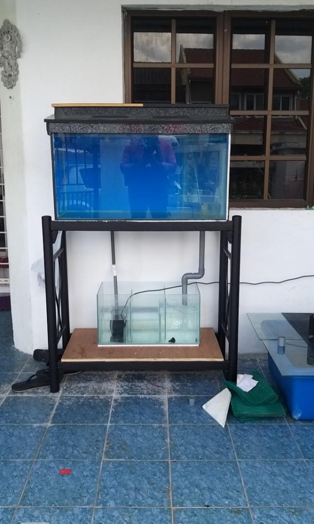 AQUARIUM WITH SUMP TANK Pet Supplies Homes Other Pet Accessories on Carousell