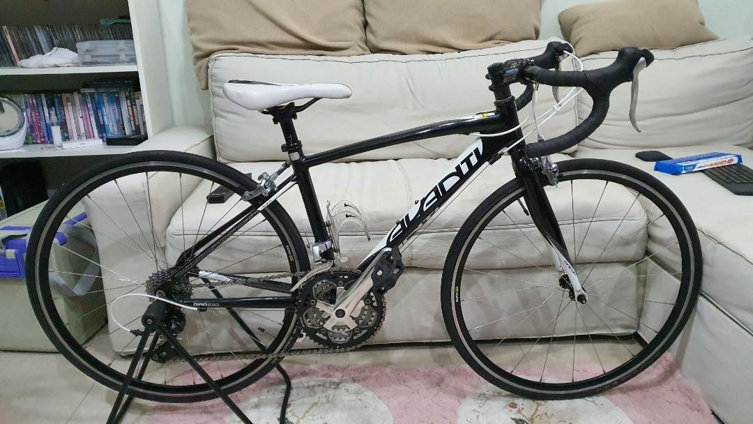 Avanti giro store endurance 1