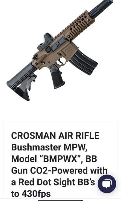 Crosman Air rifle Bushmaster MPW, Sports Equipment, Sports & Games ...