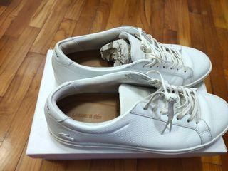 Lacoste Gray Off White Unlined