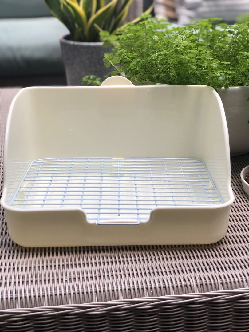 Small Poo Tray Rabbit Rabbit Toilet Poo Pee Tray, Pet Supplies, Homes & Other Pet Accessories ...