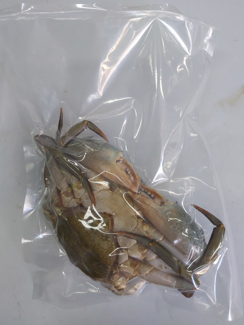 Vacuum Sealed Frozen Mud Crabs, Food & Drinks, Chilled & Frozen Food on