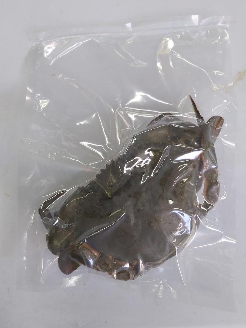 Vacuum Sealed Frozen Mud Crabs, Food & Drinks, Chilled & Frozen Food on