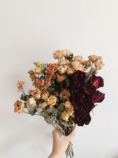 （分類：）位於 。 由 sieannn 提交（商品編號 1084996155，圖片 1）。簡介： 。