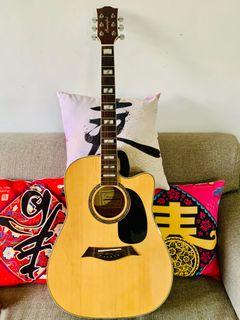 Hummingbird Acoustic Guitar