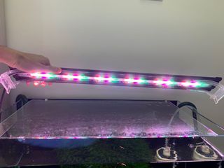 （分類：）位於 。 由 brisme 提交（商品編號 1084941669，圖片 1）。簡介： 。