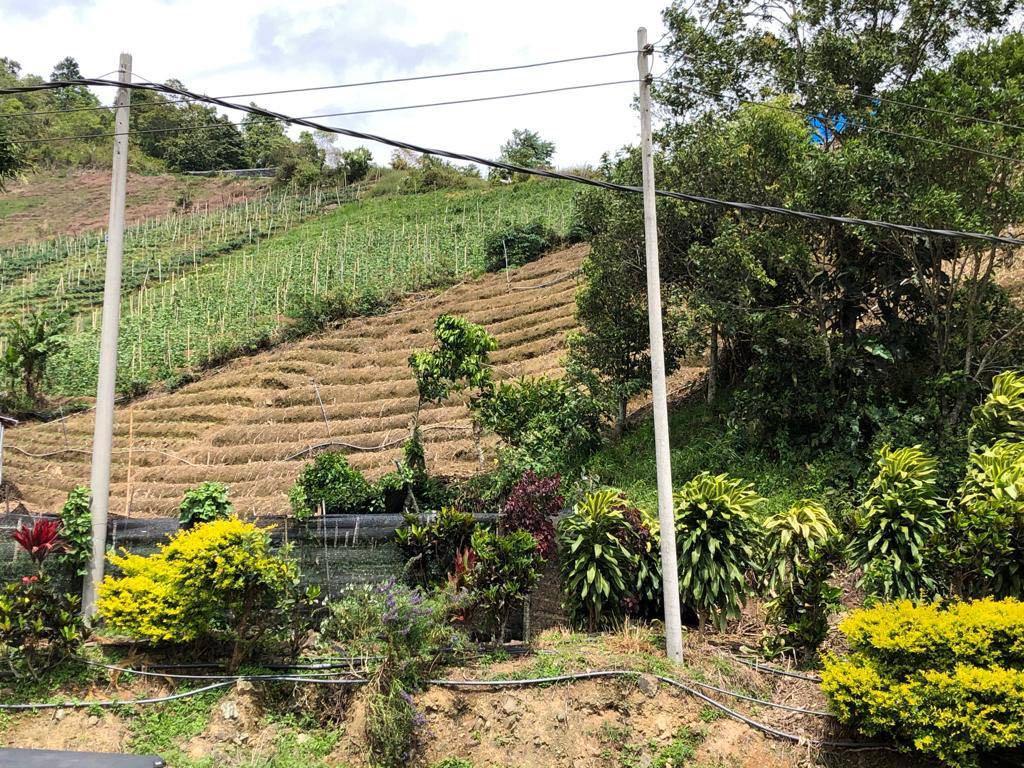 For Sell Kundasang Ranau Land Property For Sale On Carousell