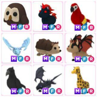 Roblox Limiteds Skotn Blue Banded Top Hat Purple Mermaid Toys Games Video Gaming In Game Products On Carousell - giraffe hat roblox