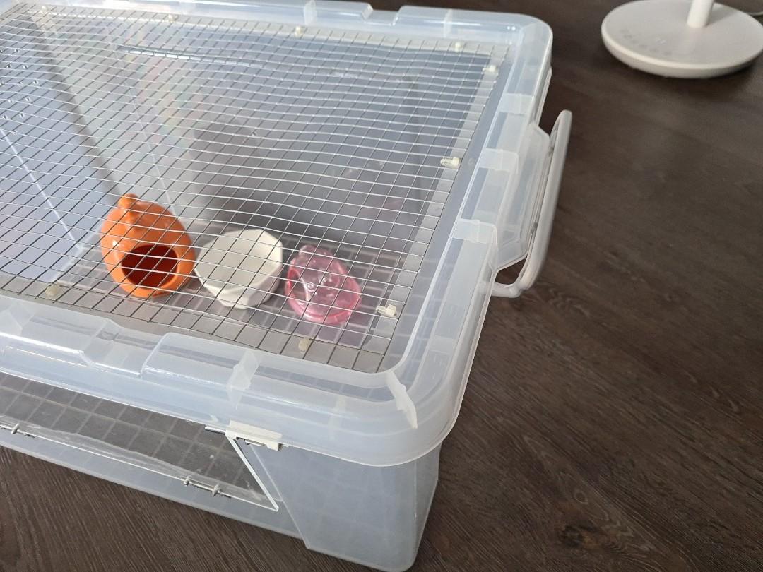 diy mouse bin cage